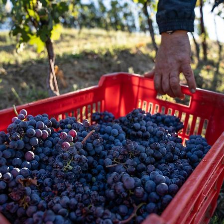 Agriturismo Antichi Poderi Gallina Neive Zewnętrze zdjęcie