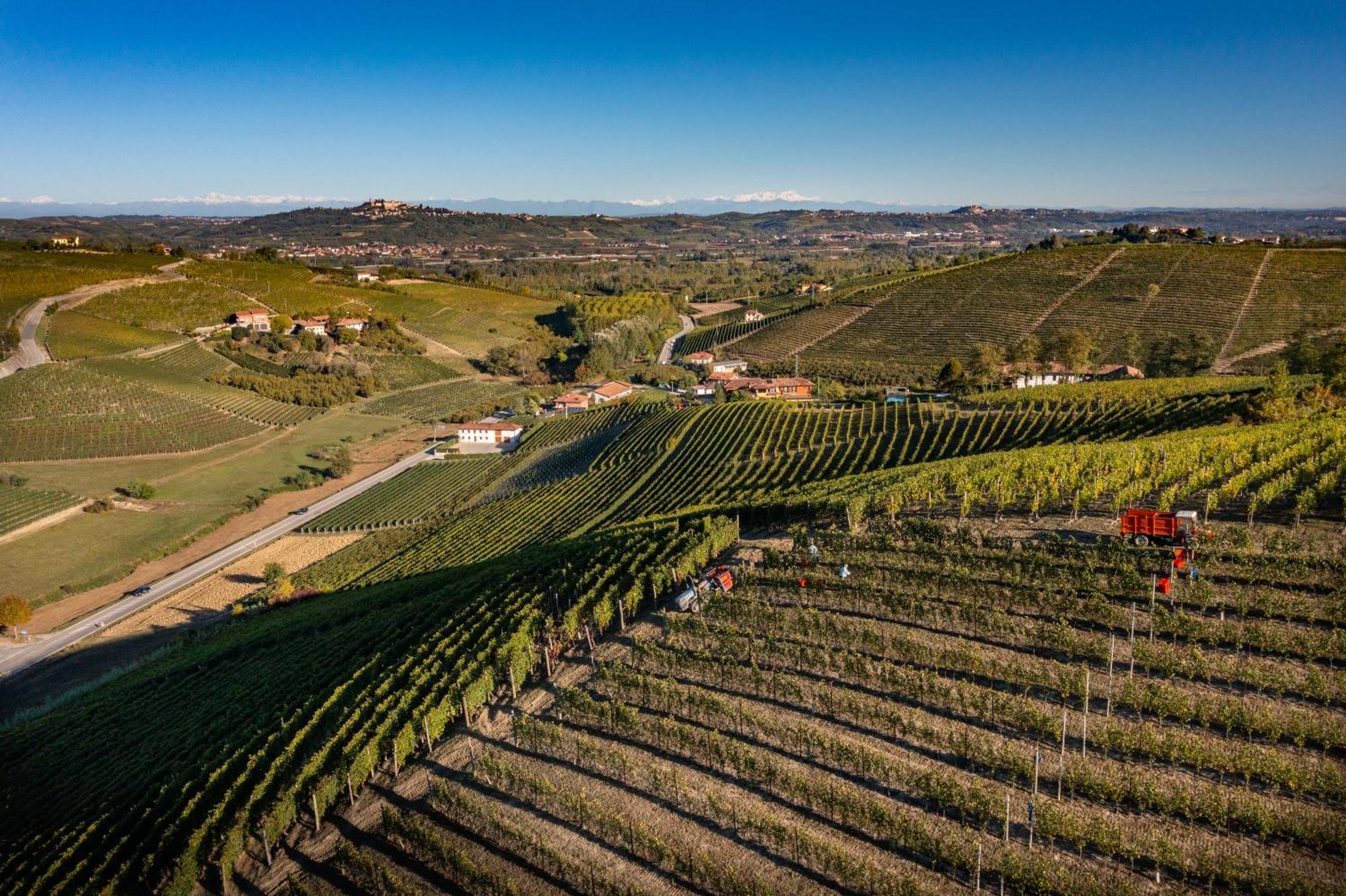 Agriturismo Antichi Poderi Gallina Neive Zewnętrze zdjęcie
